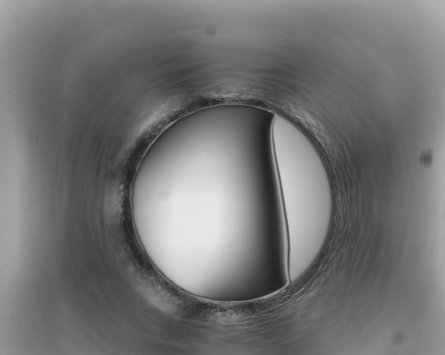 X0000095120735200712070943