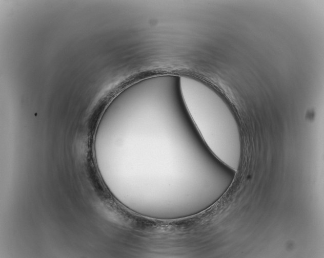 X0000095120736200712070943