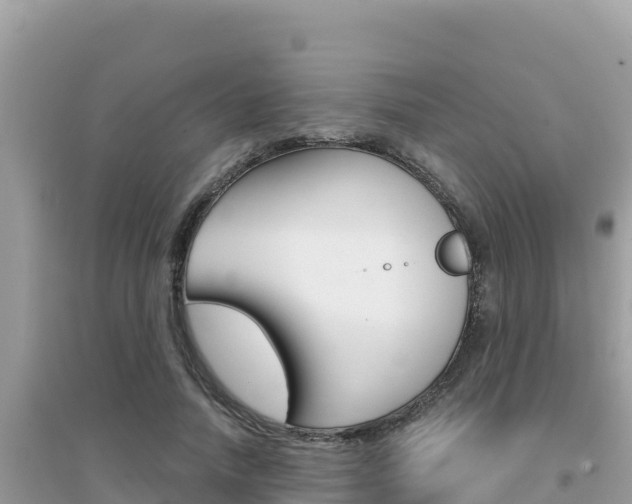 X0000095120738200712070943