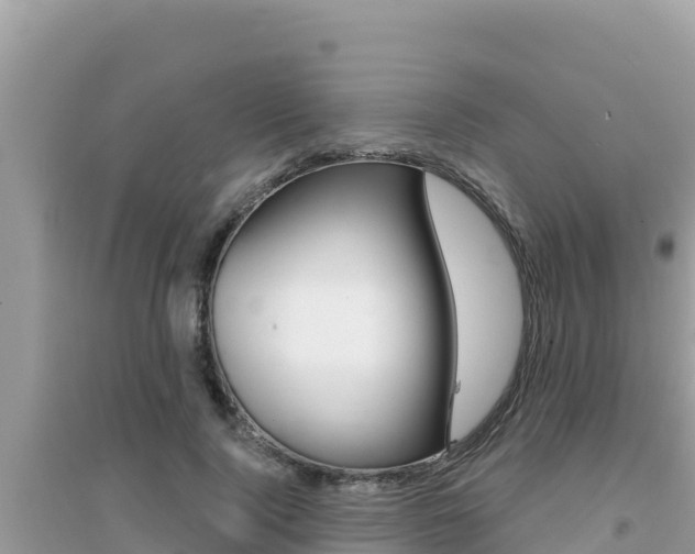 X0000095120740200712070943