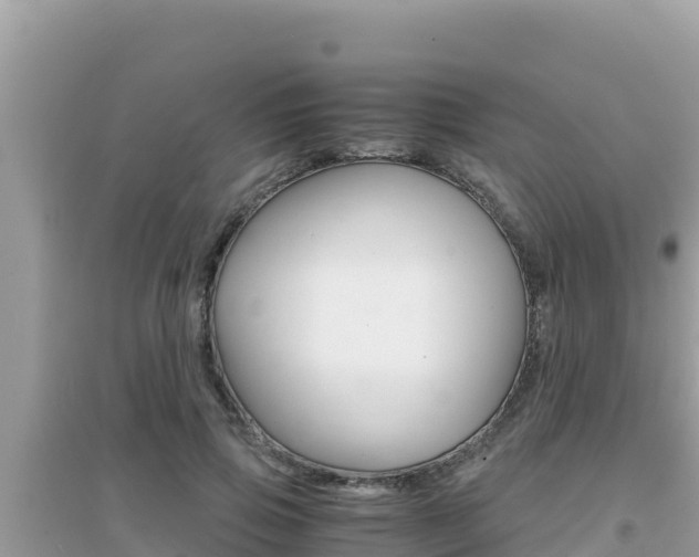 X0000095120741200712070943