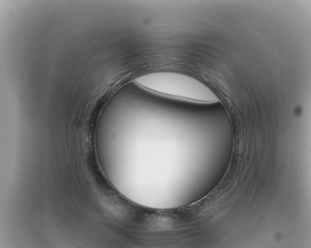 X0000095120743200712070943