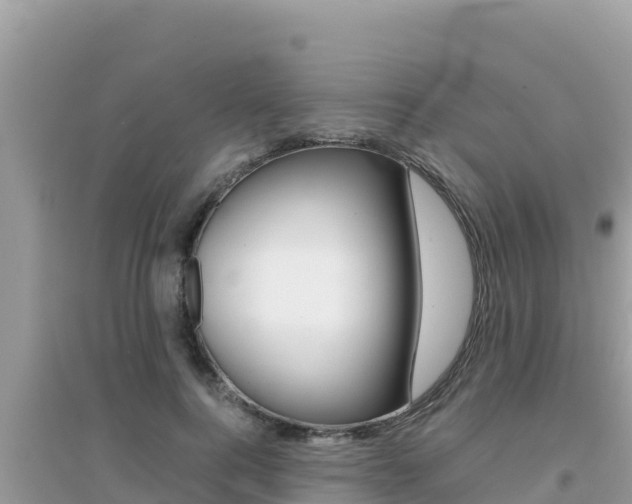 X0000095120744200712070943