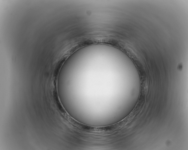 X0000095120746200712070943