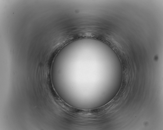 X0000095120747200712070943
