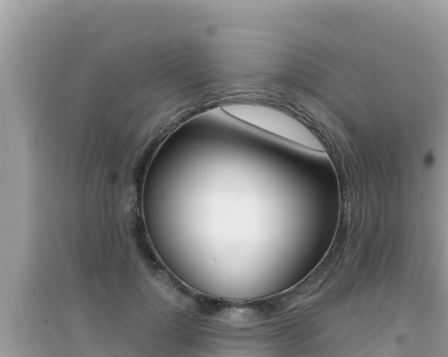 X0000095120748200712070943