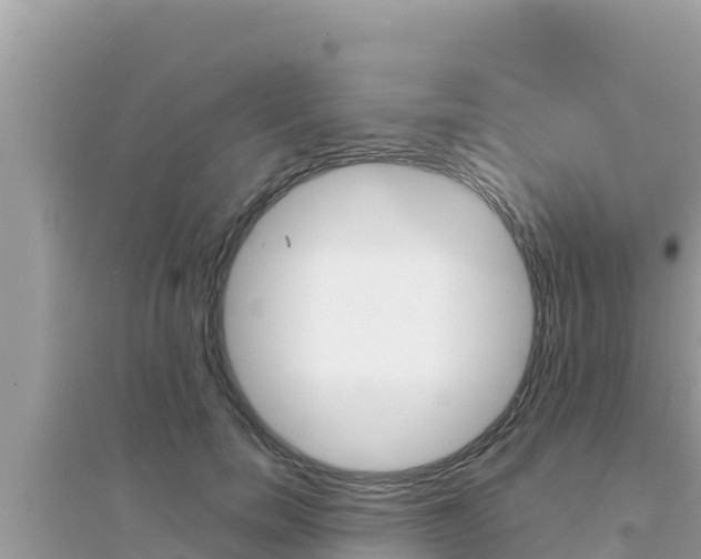 X0000095120750200712070943