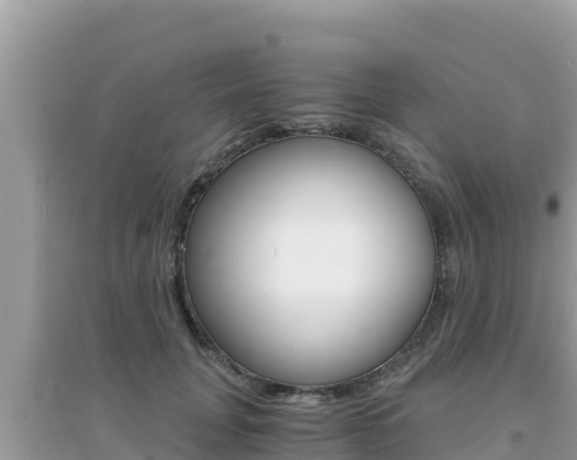 X0000095120751200712070943