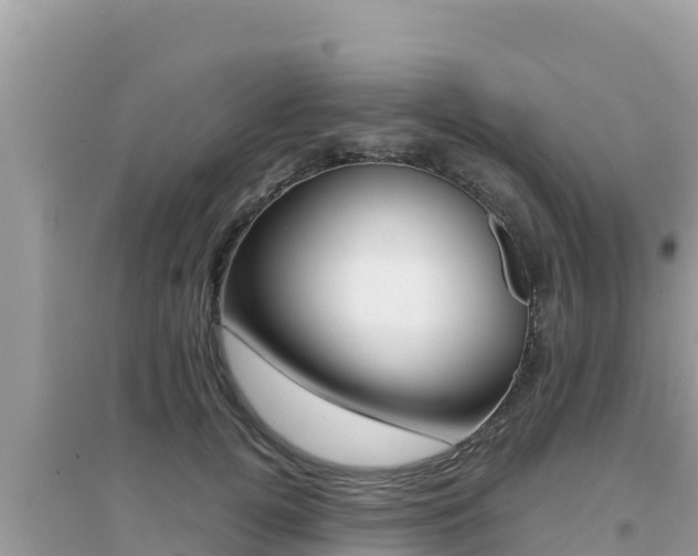 X0000095120752200712070943