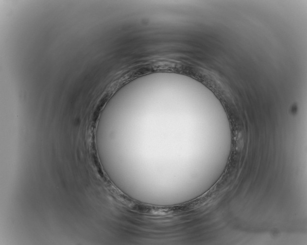 X0000095120753200712070943