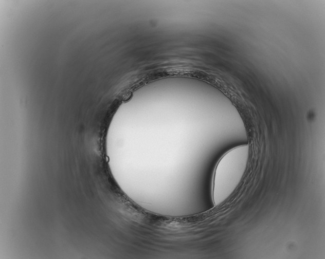 X0000095120755200712070943