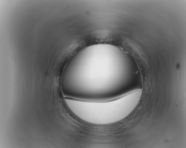 X0000095120756200712070943