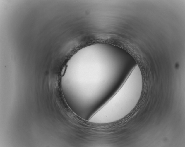 X0000095120758200712070943