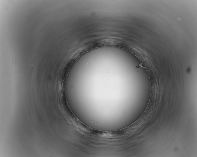 X0000095120759200712070943