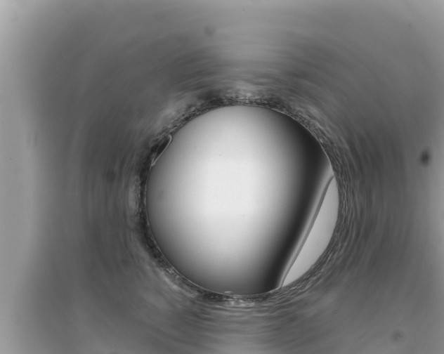 X0000095120760200712070943
