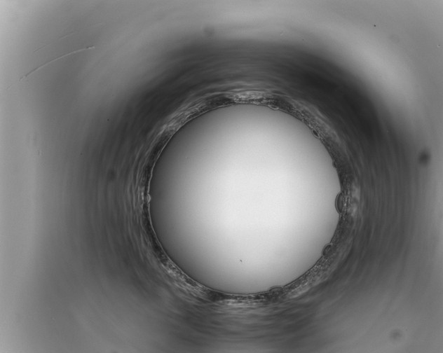 X0000095120763200712070943