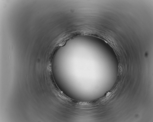 X0000095120766200712070943