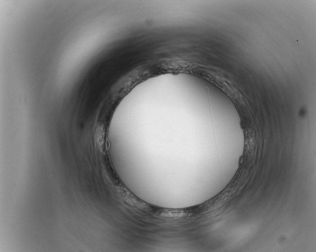 X0000095120767200712070943
