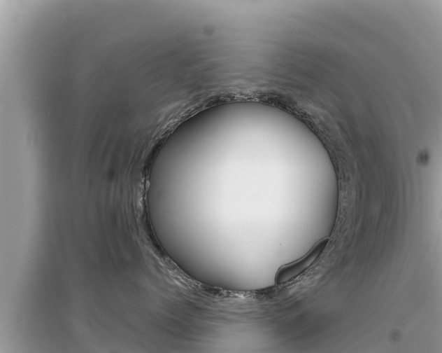 X0000095120768200712070943