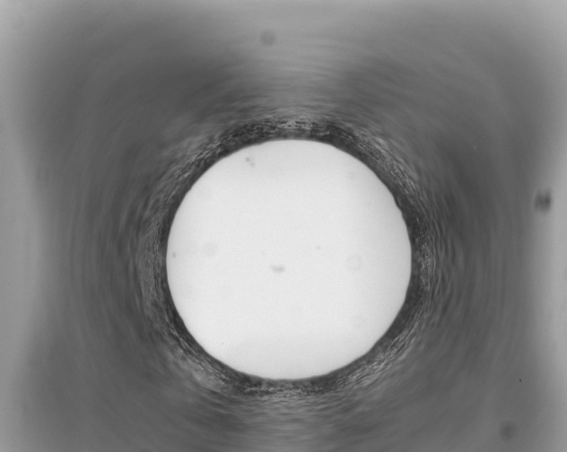 X0000095120769200712070942