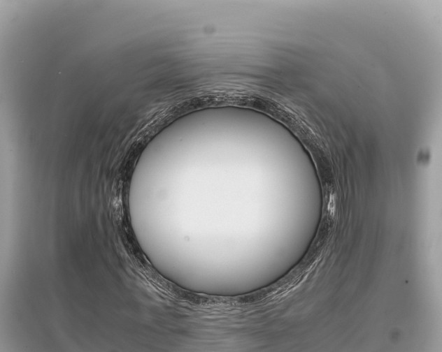 X0000095120771200712070942