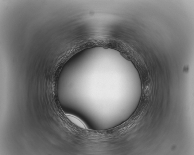 X0000095120772200712070942