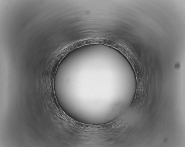 X0000095120773200712070942