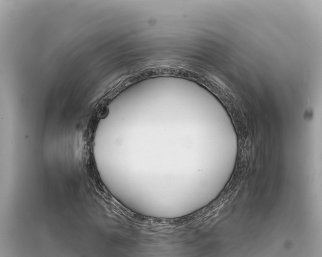 X0000095120774200712070942