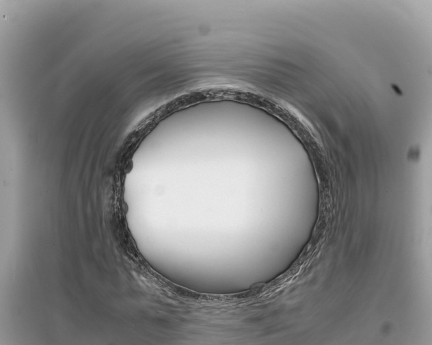 X0000095120775200712070942