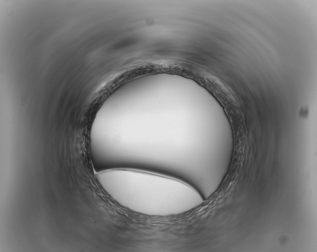 X0000095120776200712070942