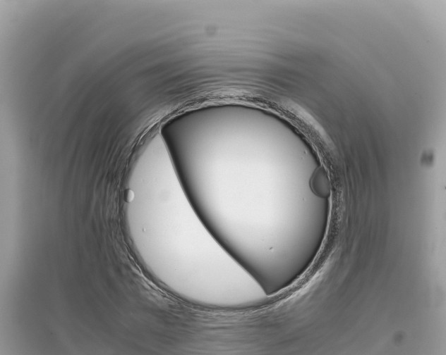 X0000095120777200712070942