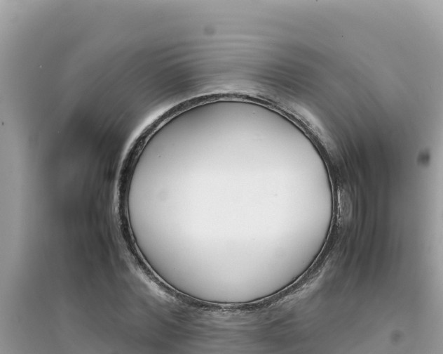 X0000095120780200712070942
