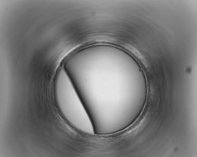 X0000095120782200712070942
