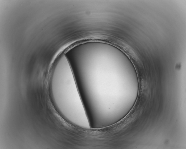X0000095120784200712070942