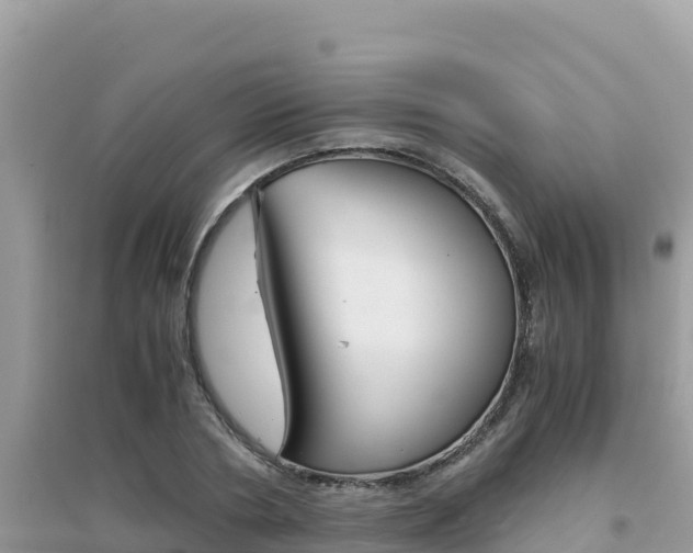 X0000095120786200712070942