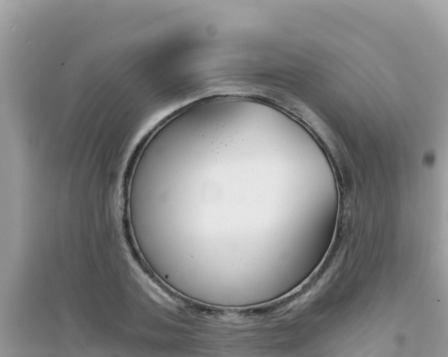 X0000095120787200712070942