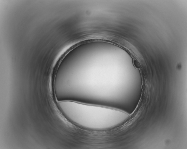 X0000095120788200712070942