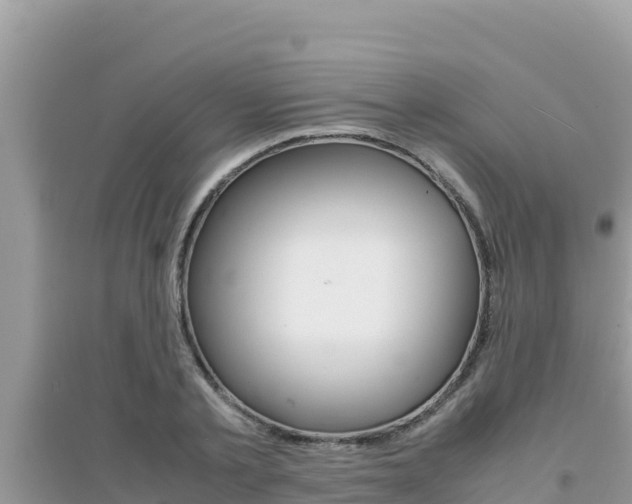 X0000095120789200712070942