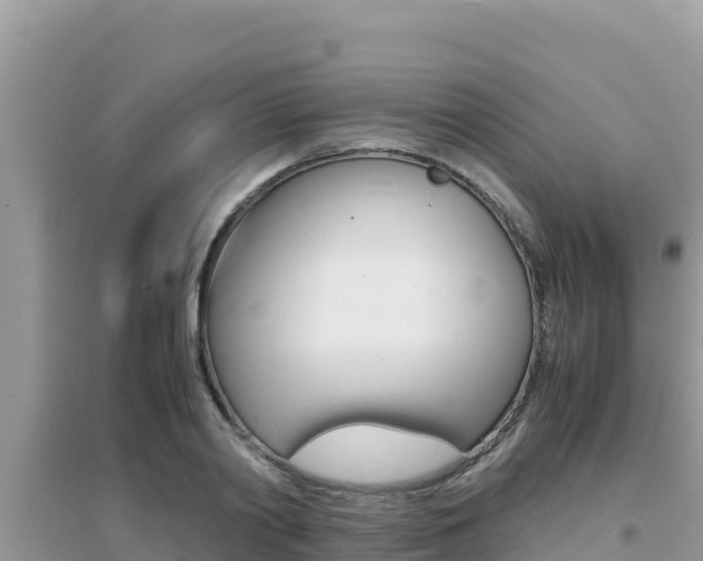 X0000095120790200712070942