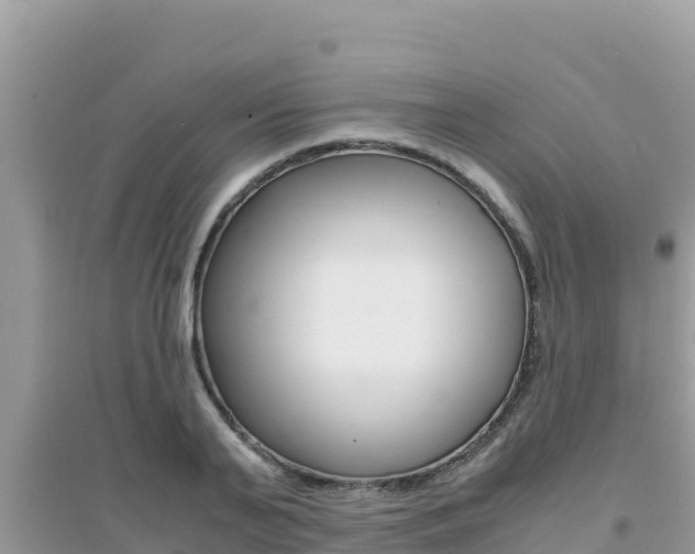 X0000095120791200712070942