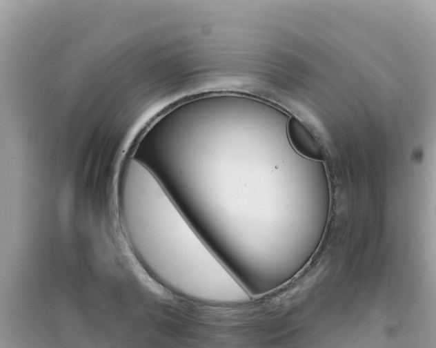 X0000095120792200712070942