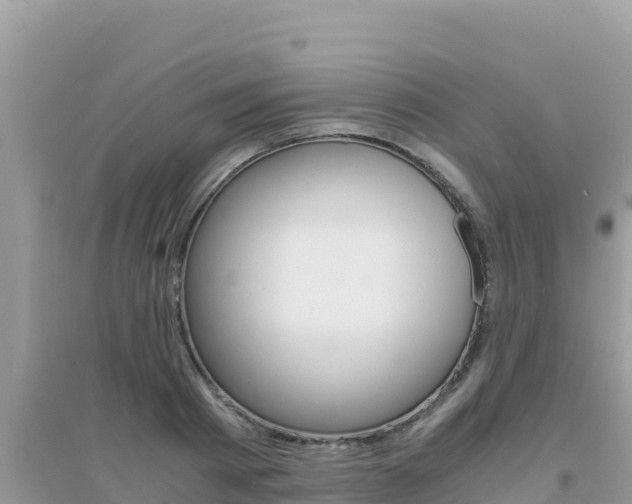 X0000095120793200712070942