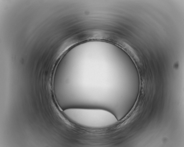 X0000095120794200712070942