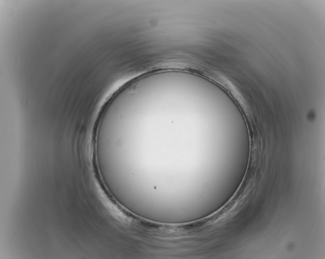X0000095120795200712070942