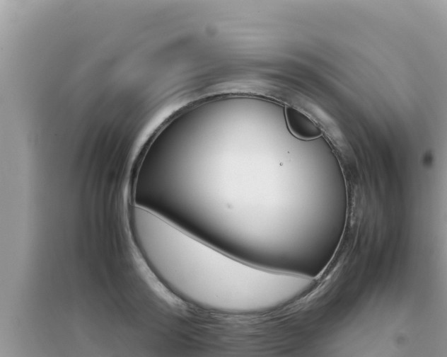 X0000095120796200712070942