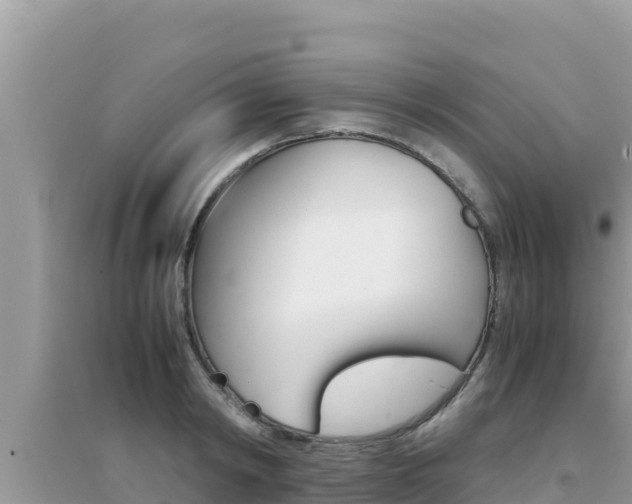 X0000095120798200712070942