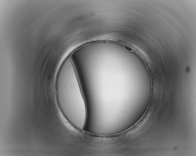 X0000095120800200712070942