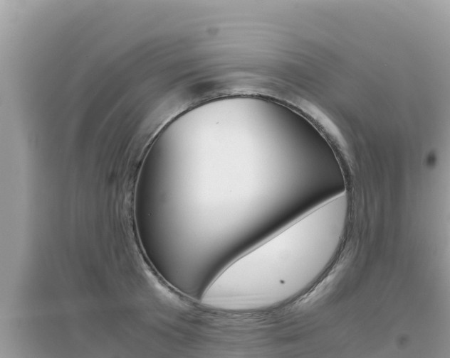 X0000095120801200712070942
