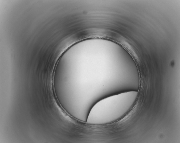 X0000095120802200712070942