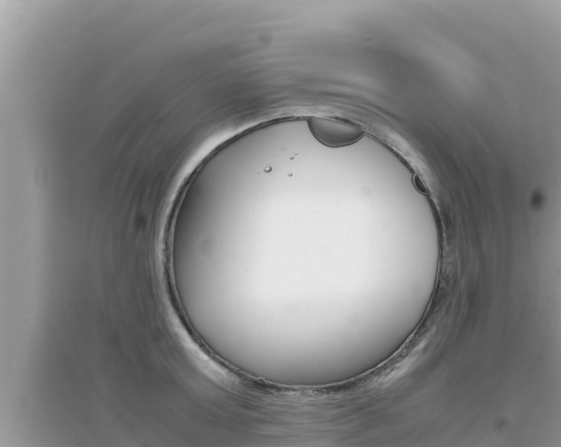 X0000095120803200712070942